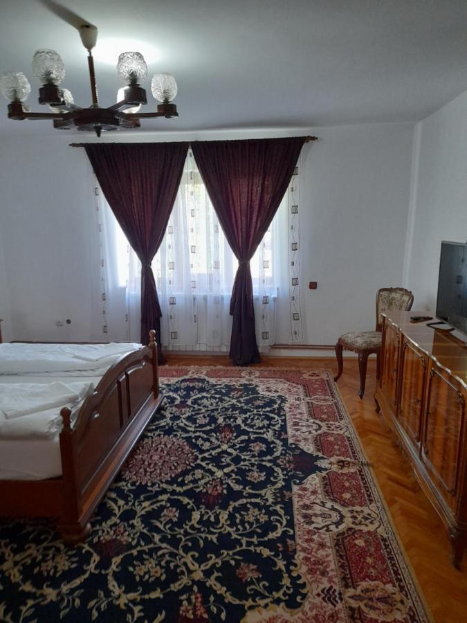 Hotel Casa Miki Haţeg Exterior foto