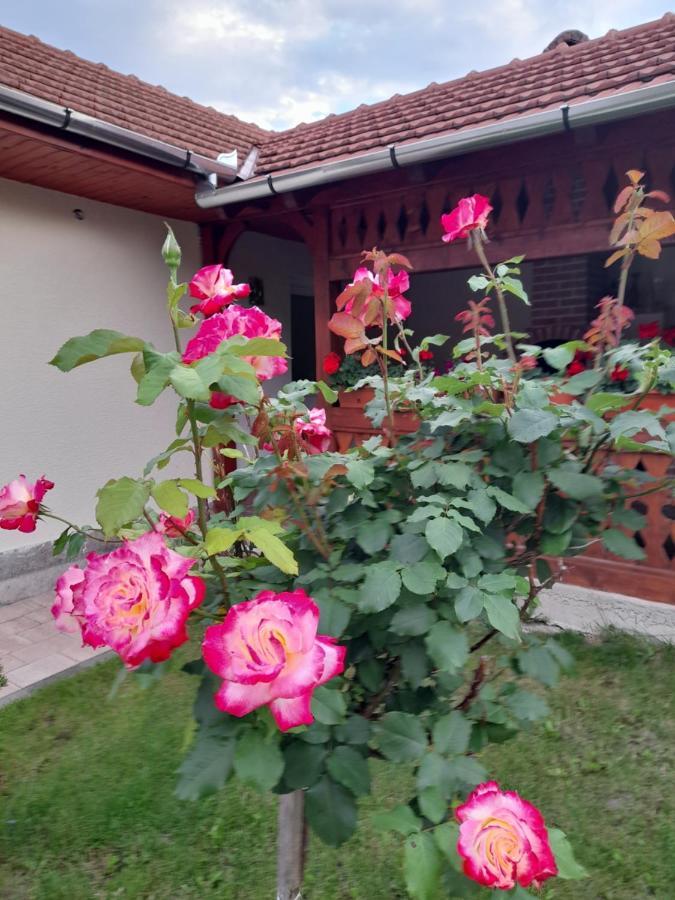 Hotel Casa Miki Haţeg Exterior foto
