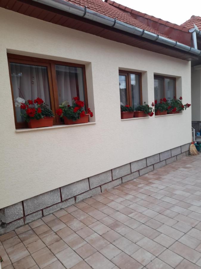 Hotel Casa Miki Haţeg Exterior foto
