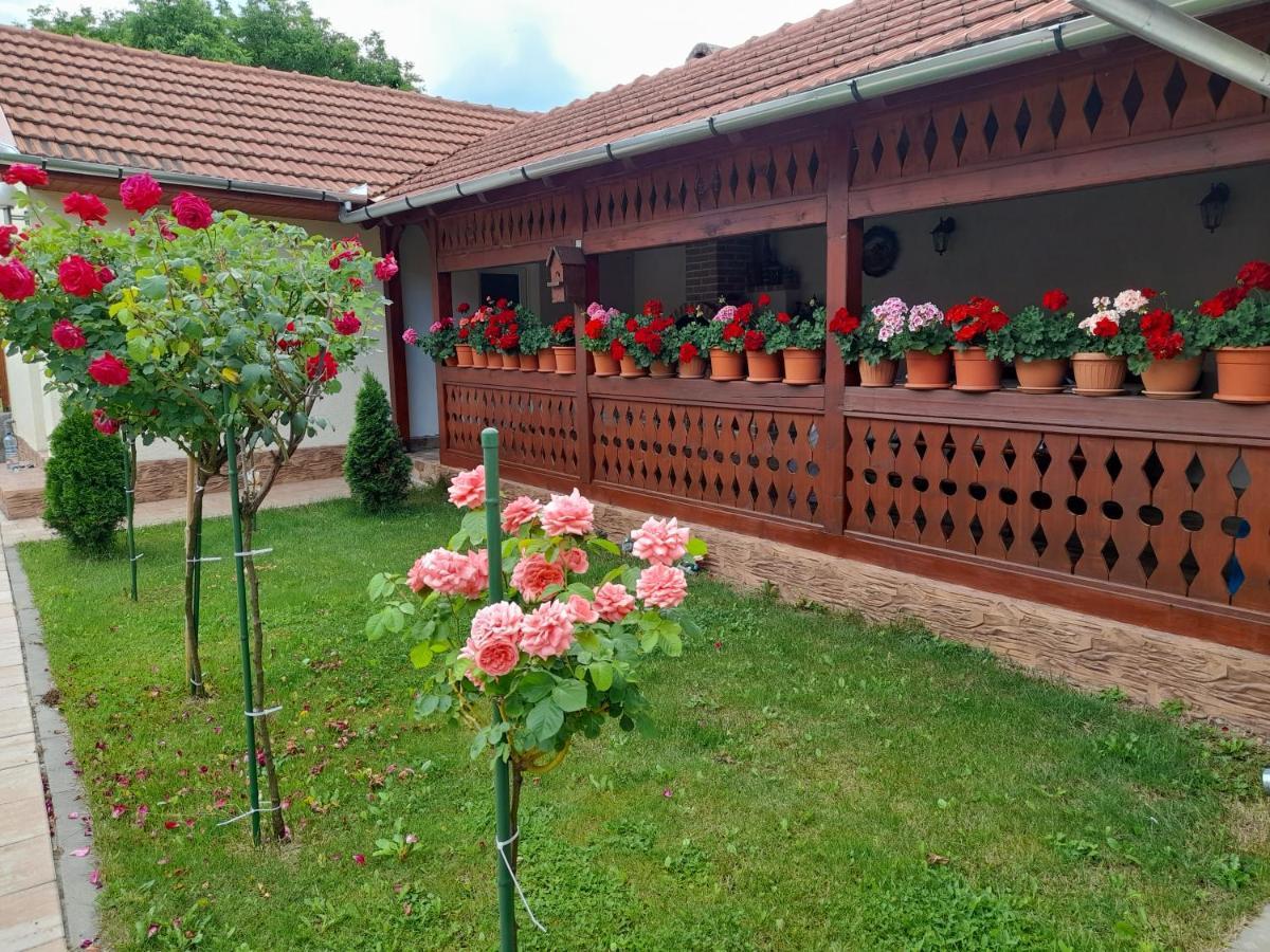 Hotel Casa Miki Haţeg Exterior foto