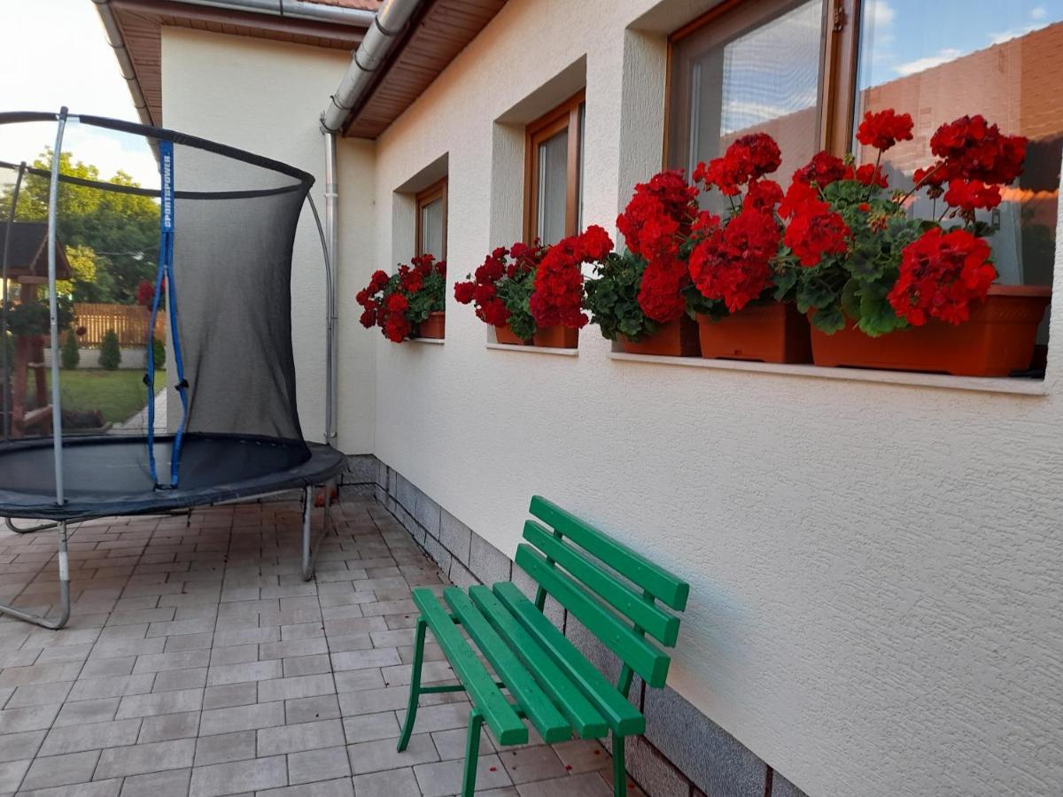 Hotel Casa Miki Haţeg Exterior foto