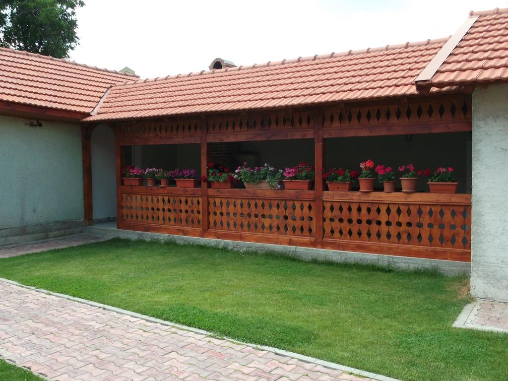 Hotel Casa Miki Haţeg Exterior foto